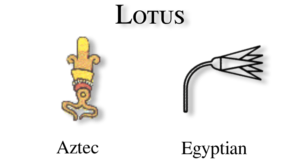 Lotus glyph