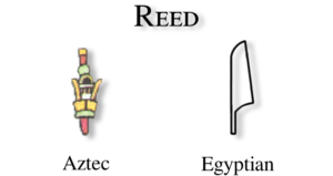 Reed glyph