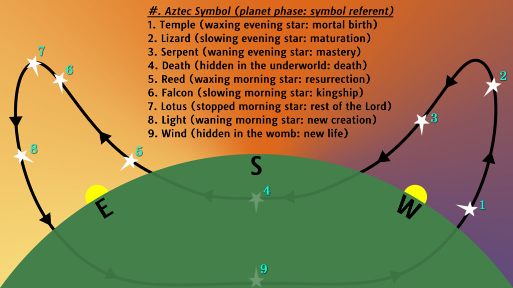 Stylized diagram of the apparent path of the Venus Cycle